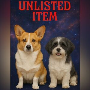 🪩UNLISTED ITEM🪩